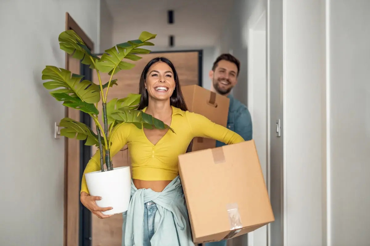 moving company Lewisville